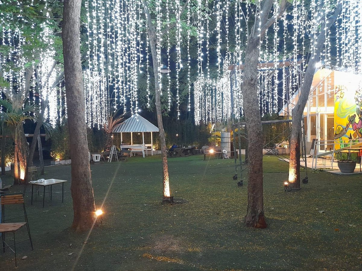 สวนและแสงไฟยามค่ำ